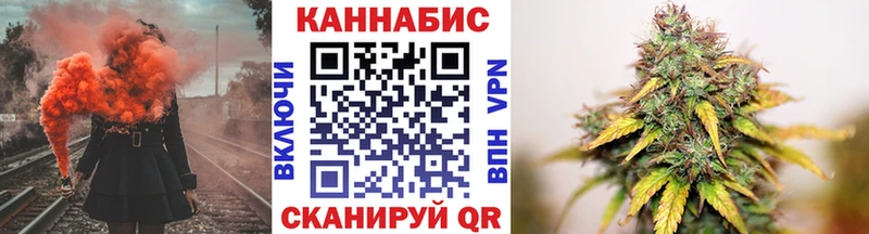 Канабис сатива  Суворов 